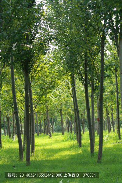 北京,奧林匹克公園,休閑場所