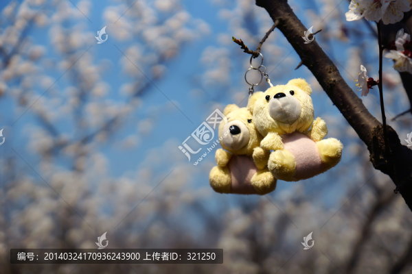 掛在樹上的毛絨小熊