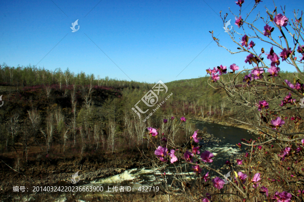 開(kāi)滿杜鵑花的神指峽