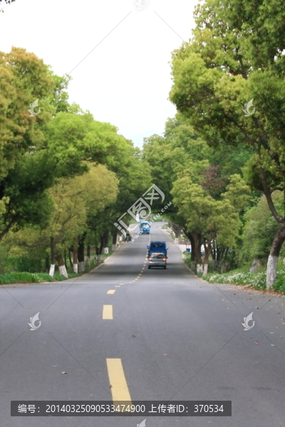 道路,公路,交通