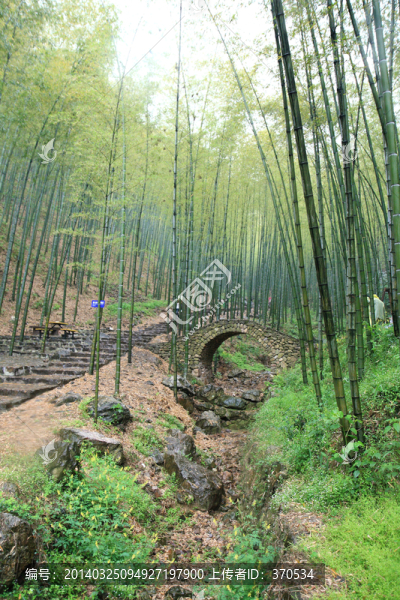 江蘇,宜興,戶外,竹海風景區(qū)
