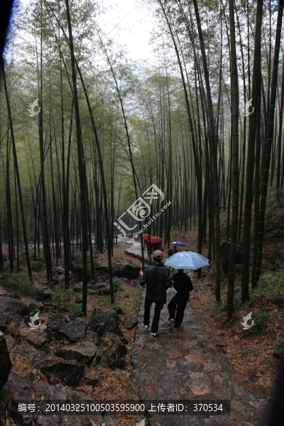 江蘇,宜興,戶外,竹海風(fēng)景區(qū)