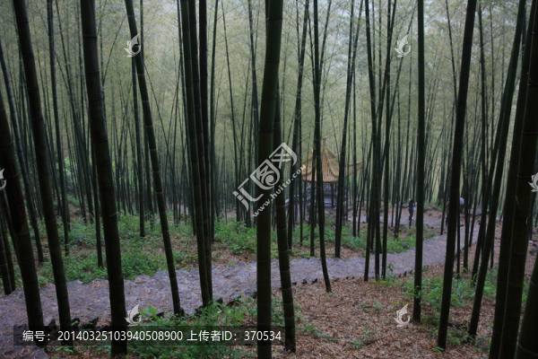 江蘇,宜興,戶外,竹海風(fēng)景區(qū)