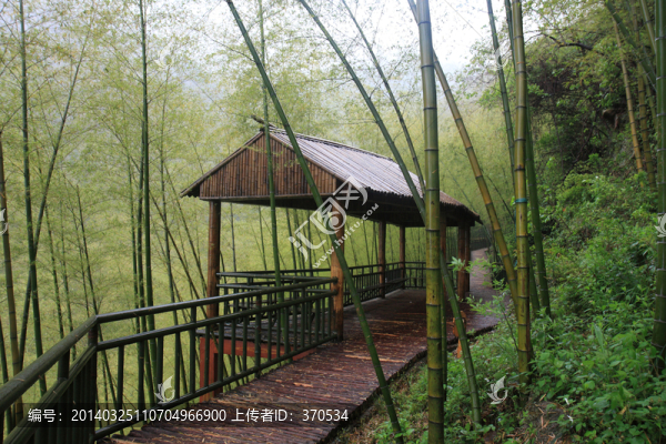 江蘇,宜興,戶外,竹海風(fēng)景區(qū)