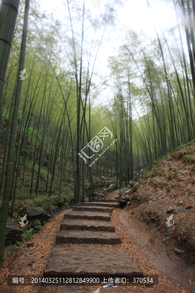 江蘇,宜興,戶外,竹海風(fēng)景區(qū)