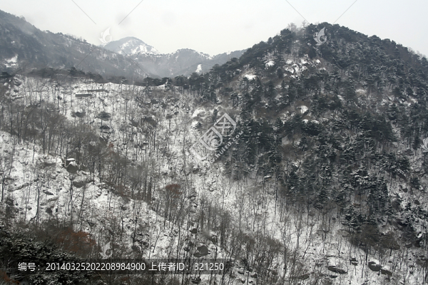 泰山雪景