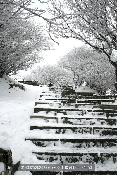 泰山雪景