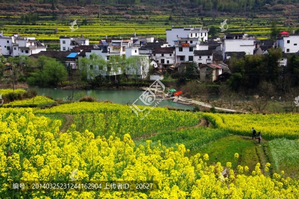 婺源風(fēng)光