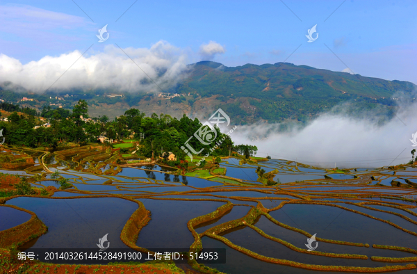 元陽梯田
