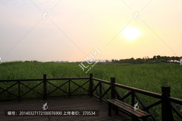 蘇州,太湖西山,濕地公園,戶外