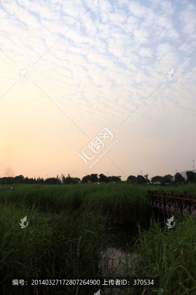 蘇州,太湖西山,濕地公園,戶外