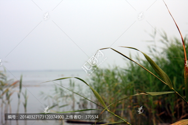 蘇州,太湖西山,濕地,公園,戶