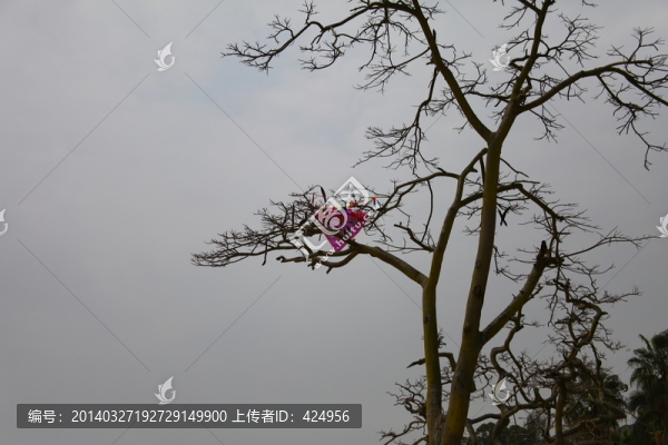 廈門鼓浪嶼風(fēng)光