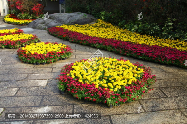 花圃