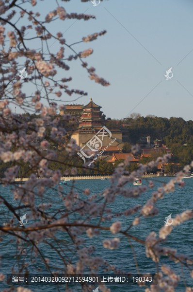 頤和園春天jpg