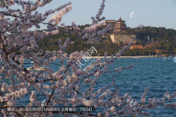 頤和園春天jpg