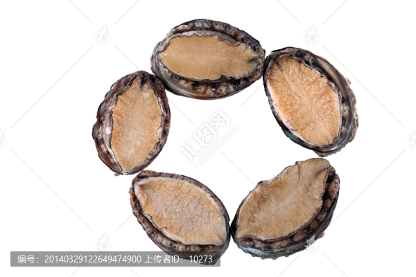 小鮑魚(yú)