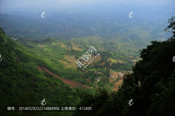 竹海風(fēng)光