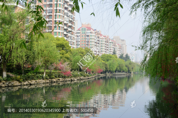 公園,綠化,樓盤
