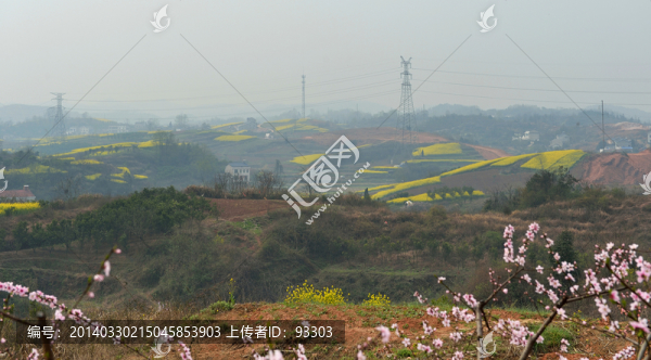 早春田原風(fēng)光