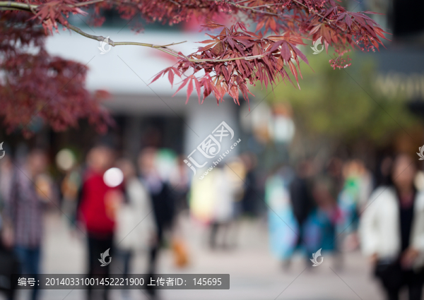 春游