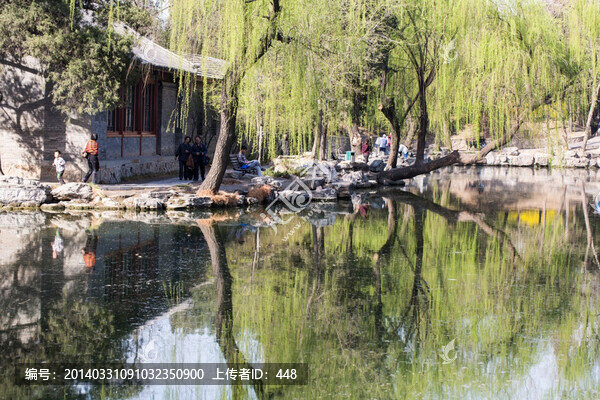 清華大學,池塘春色