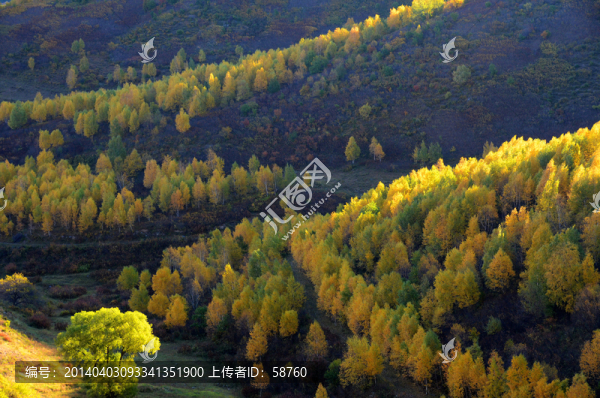 秋山
