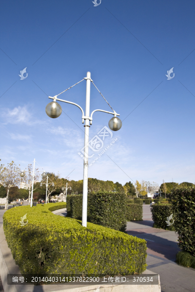 上海,浦東,世紀公園,休閑場所
