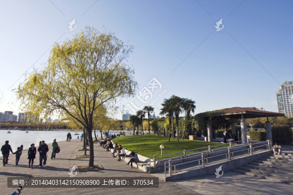 上海,浦東,現(xiàn)代建筑,世紀(jì)公園