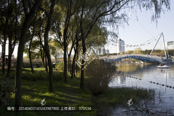 上海,浦東,世紀(jì)公園,休閑場所