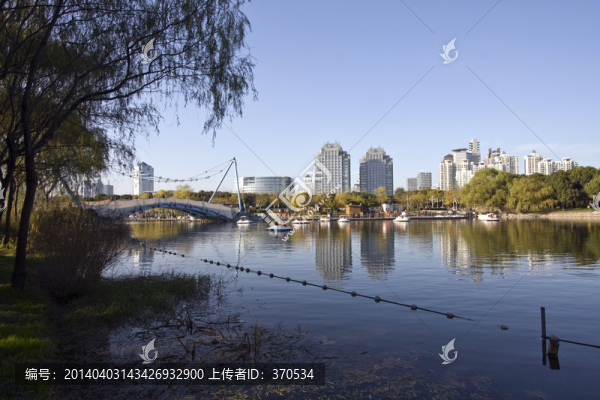上海,浦東,現(xiàn)代建筑,世紀(jì)公園
