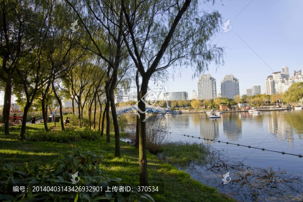 上海,浦東,世紀公園,休閑場所