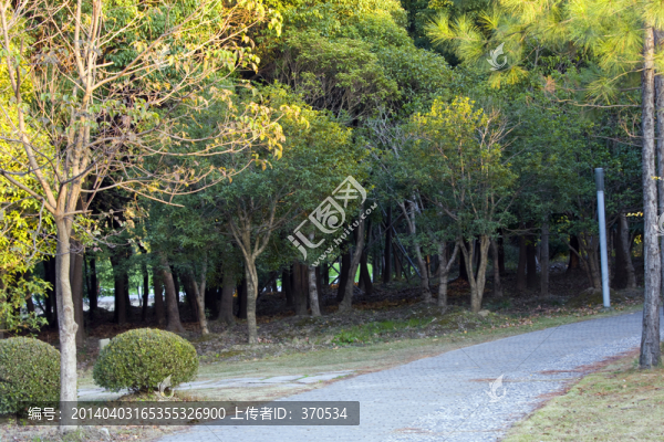 上海,浦東,世紀公園,休閑場所