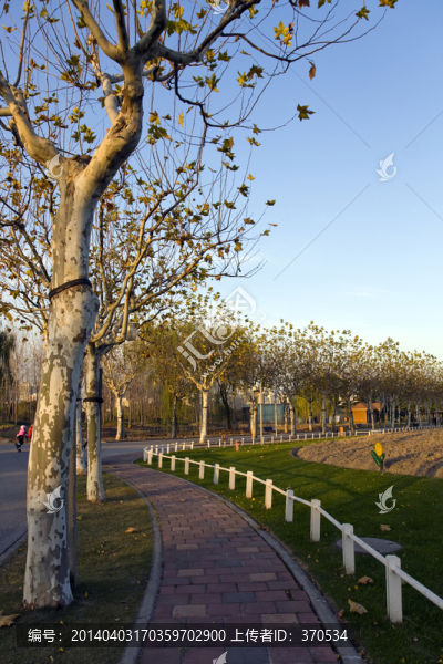 上海,浦東,世紀(jì)公園,休閑場所