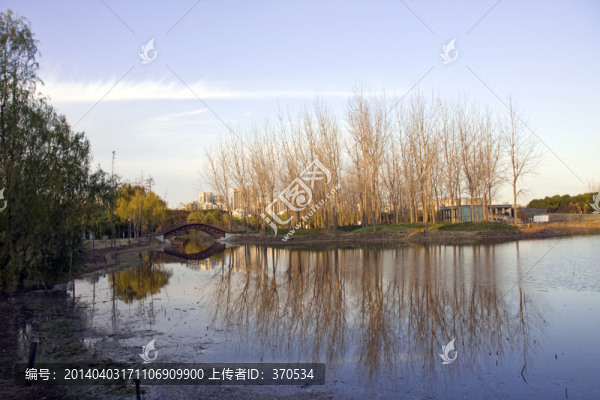 上海,浦東,世紀(jì)公園,休閑場(chǎng)所