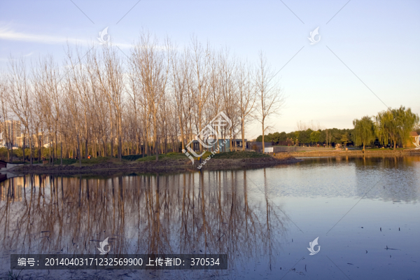 上海,浦東,世紀公園,休閑場所