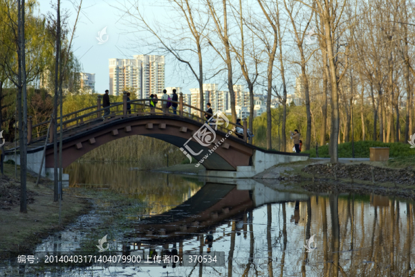 上海,浦東,世紀公園,休閑場所
