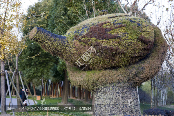 上海,浦東,休閑場所,世紀公園