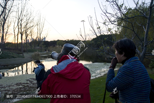 上海,浦東,休閑場所,世紀公園