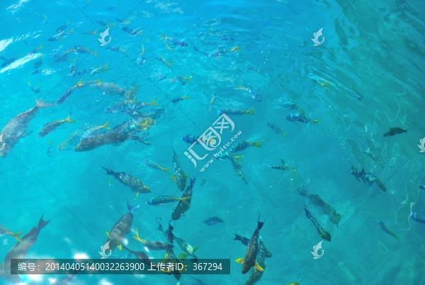 澳大利亞凱恩斯大堡礁