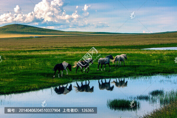草原風(fēng)景