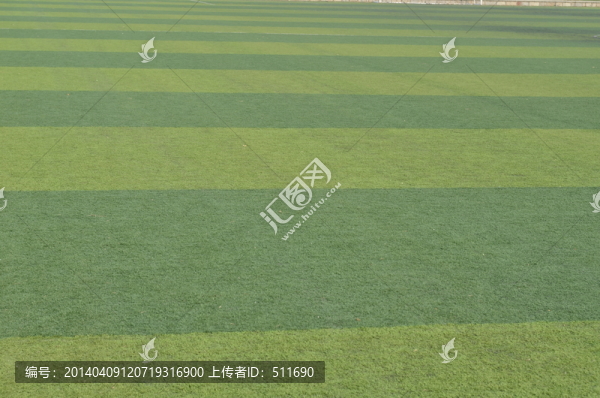 足球場草坪