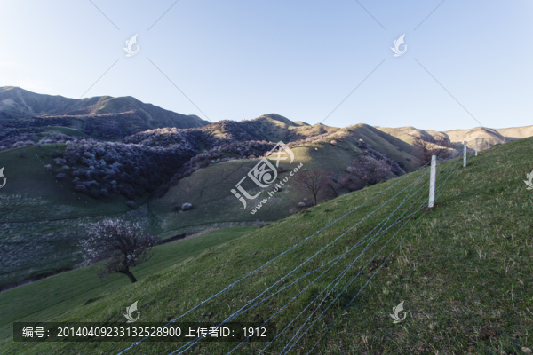 山野