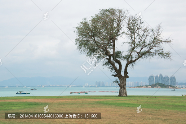海南三亞大東海