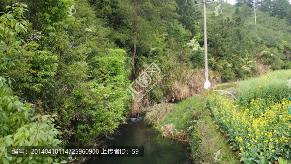 青山綠水