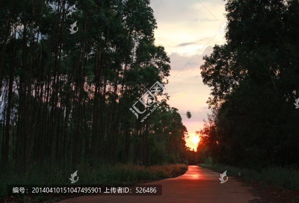 夕陽西下
