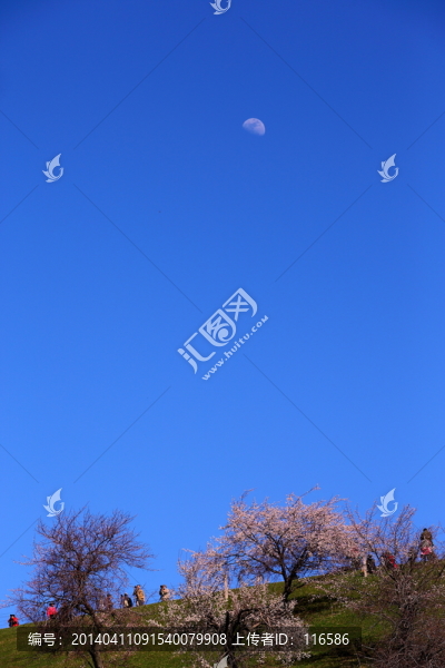 伊犁杏花溝