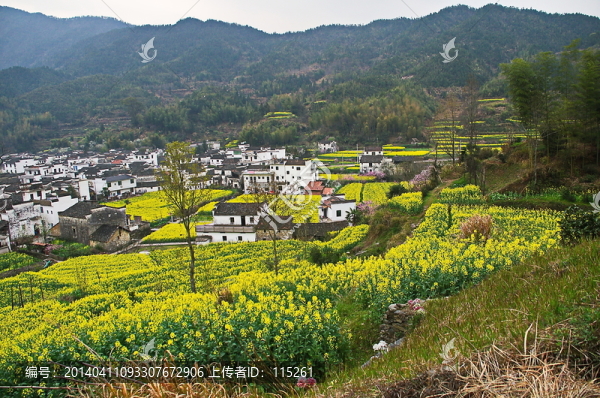 田園山村