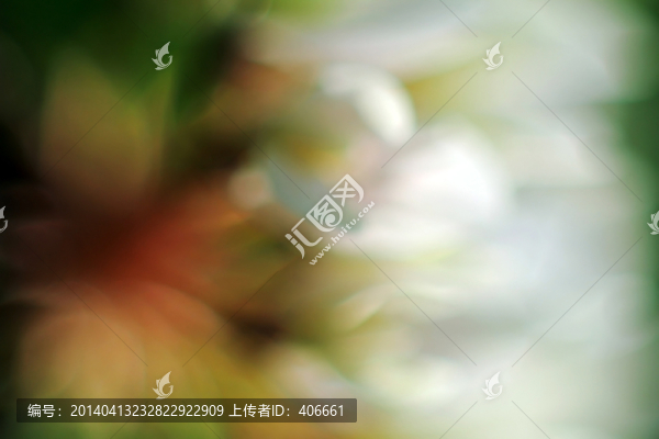 抽象花卉攝影