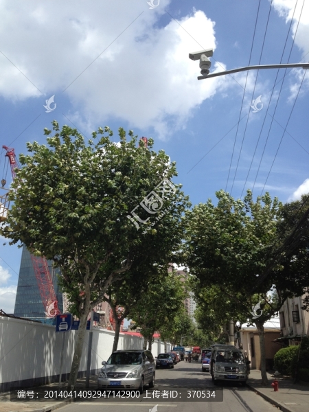 上海,浦東,都市,街道